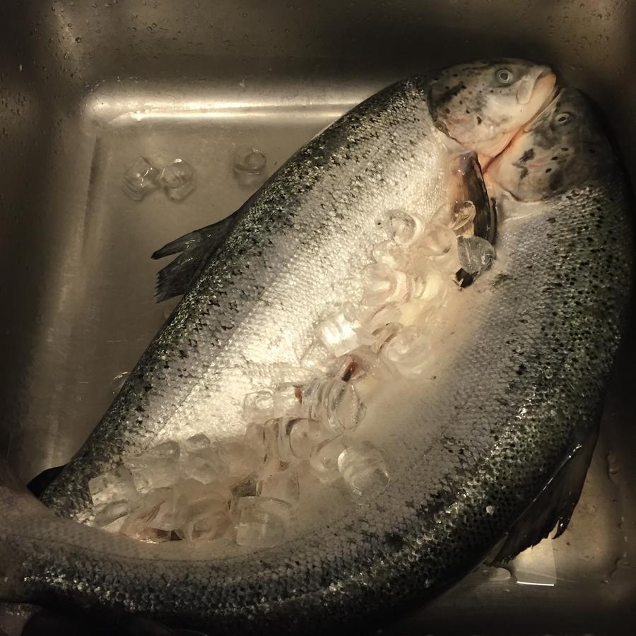 Hotel Soresina 外观 照片
